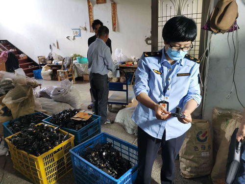 浙江發布打擊侵權假冒商品典型案例，化妝品批發領域成重點